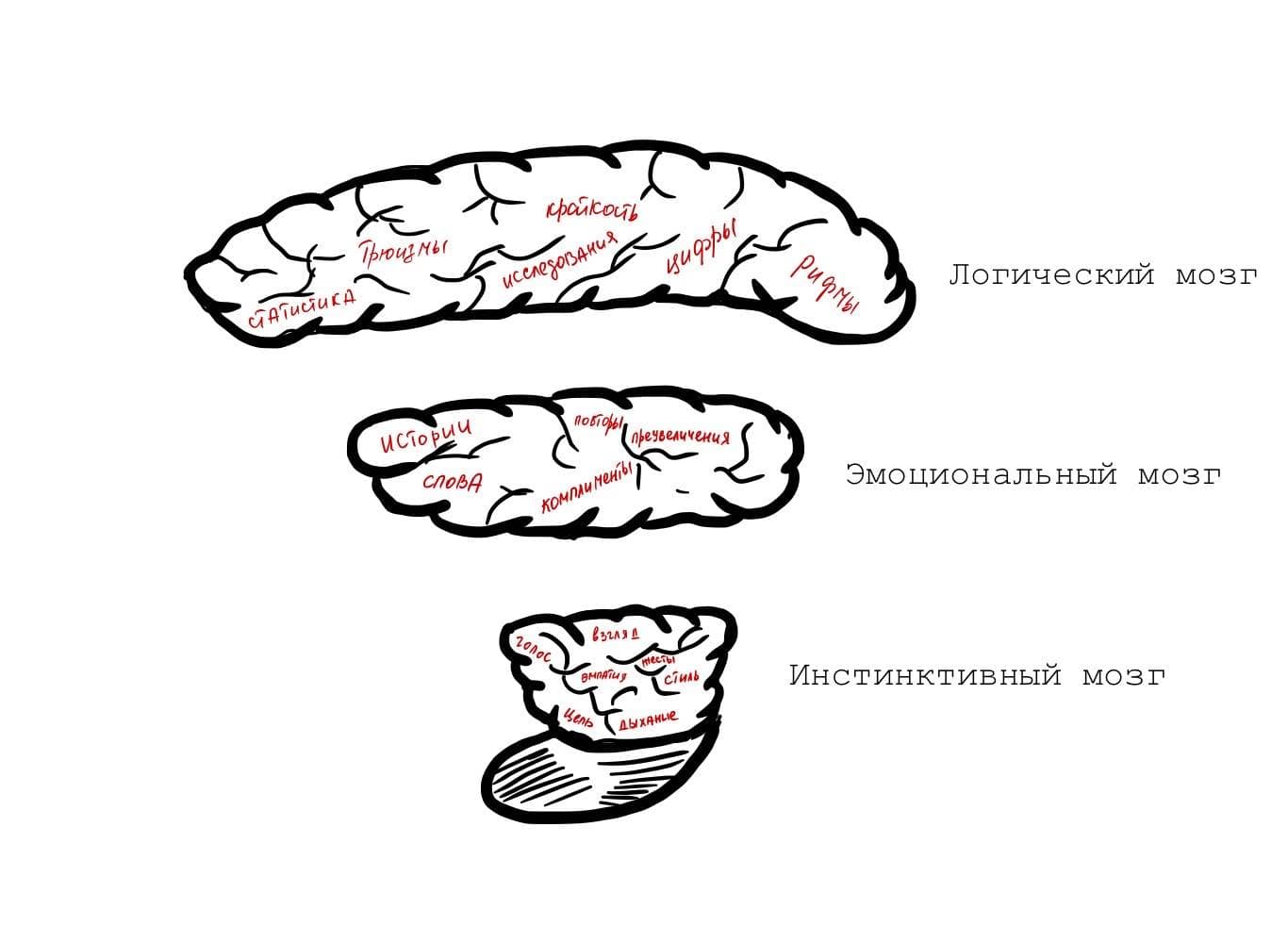 Триада нейробиологии